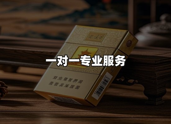 专业优势
